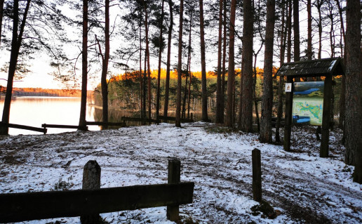 21_Baluošų apžvalgos aikštelė 2020-03 (1).jpg